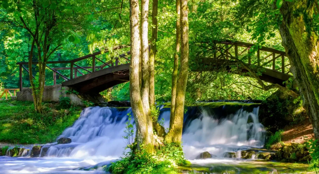 Spring of Bosna River