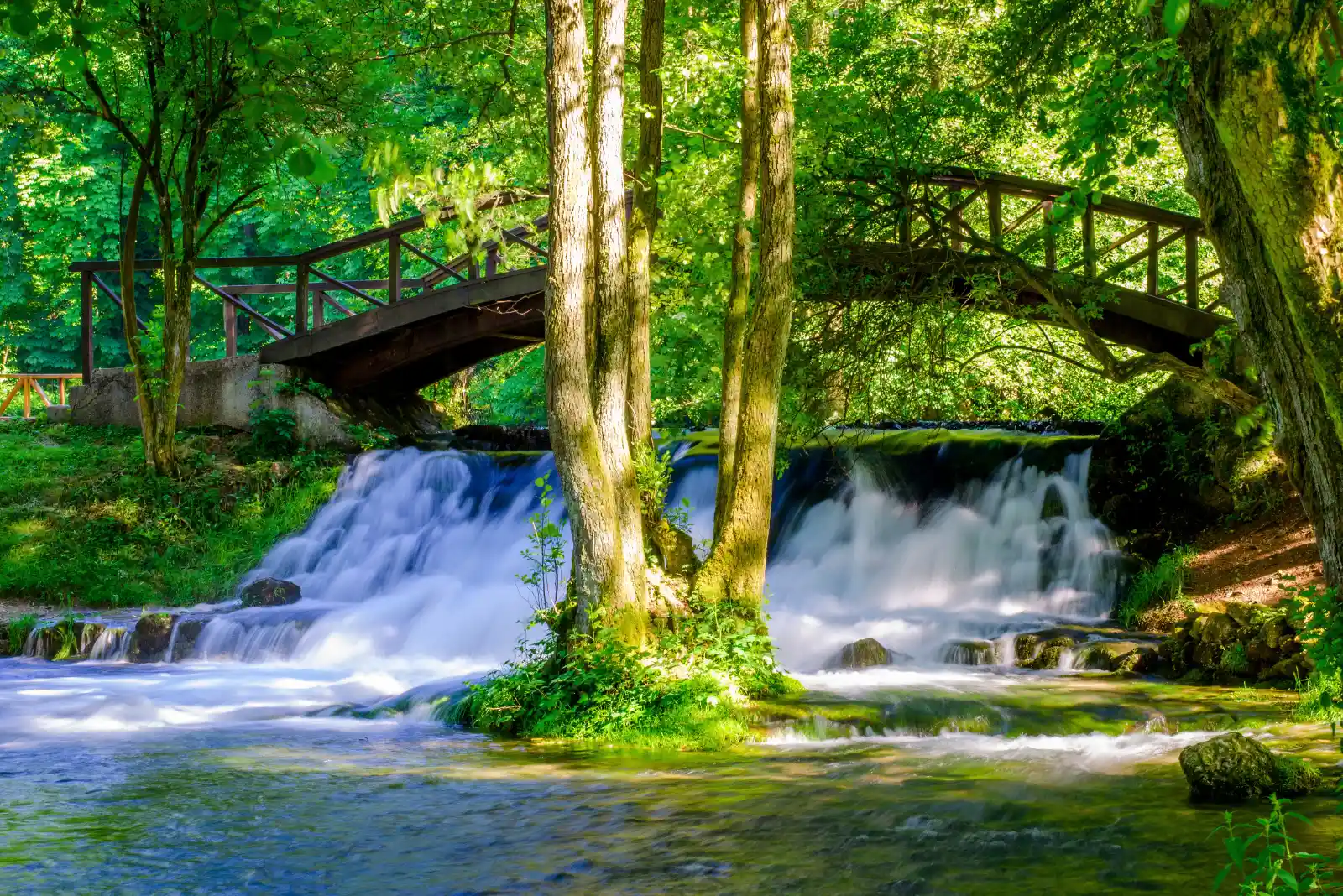 Spring of Bosna River